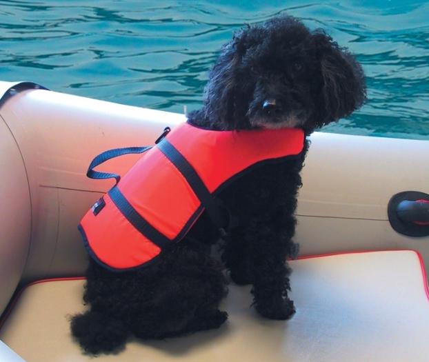 Plávacia vesta pre psy - rôzne veľkosti