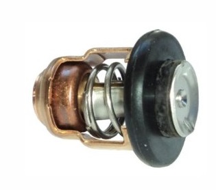 Yamaha - Termostat pre F4A/F4B/F5A..