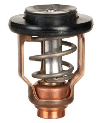 Yamaha - Termostat pre F80A/F80B/F100A...