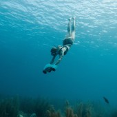 Nie je nastavený žiaden obrázok 