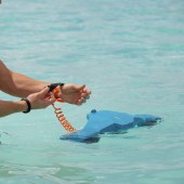 Nie je nastavený žiaden obrázok 